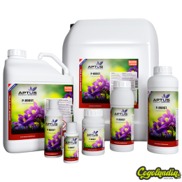 P-Boost - Aptus