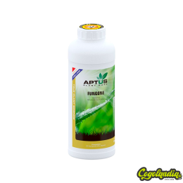 Fungone - Aptus