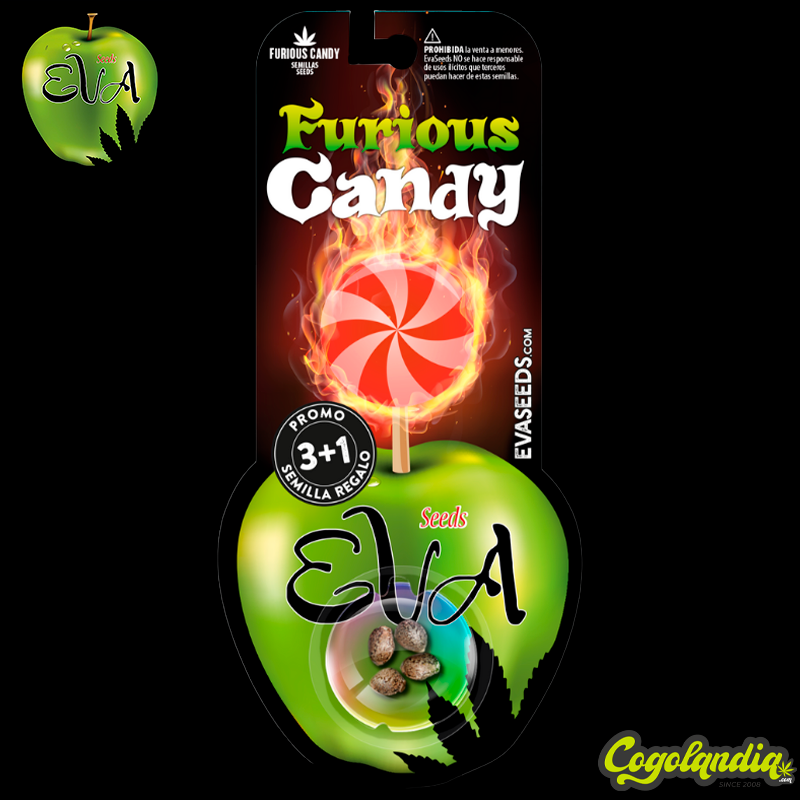 Furious Candy - EVA SEEDS