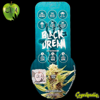 Black Dream - EVA SEEDS