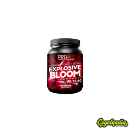 Explosive Bloom - Pro XL