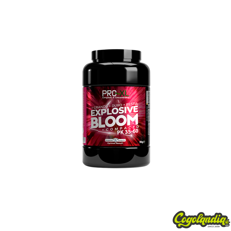 Explosive Bloom - Pro XL Inicio