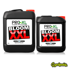 Bloom XXL de Pro XL