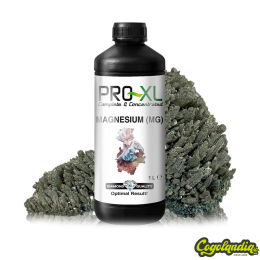 Magnesio 1L - Pro XL