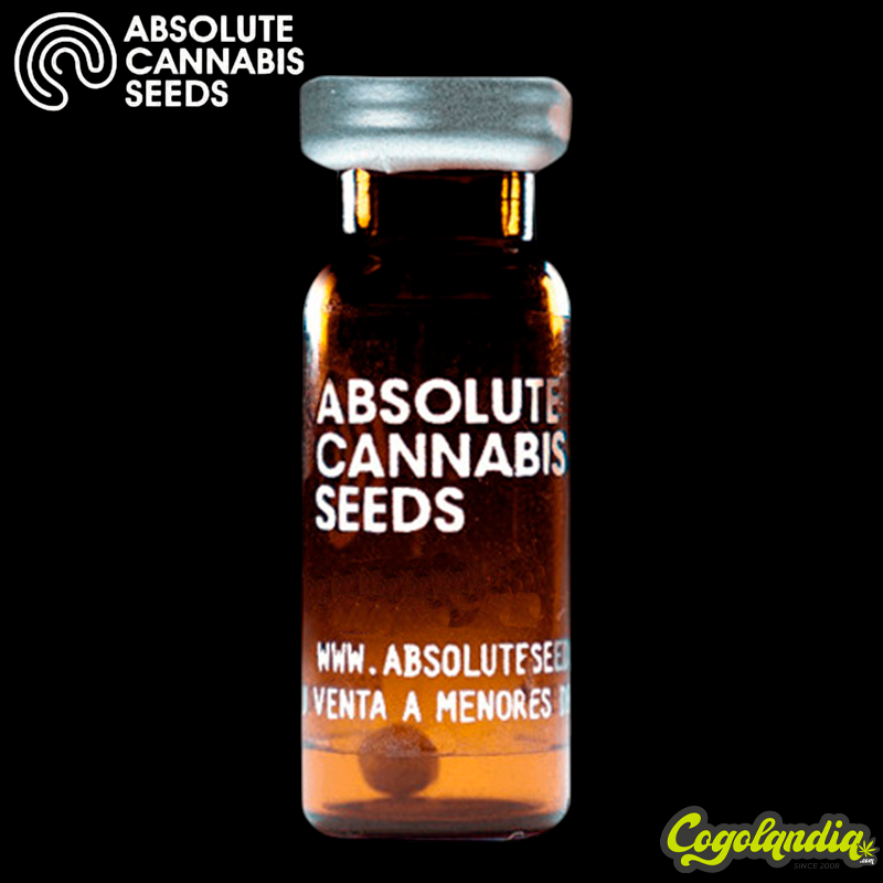Absolute Herer - Absolute Seeds Semillas Feminizadas