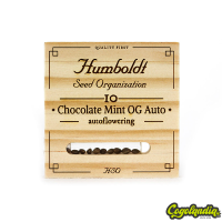 Chocolate Mint OG Auto - Humboldt