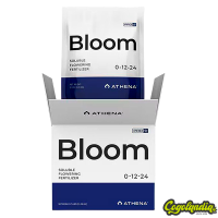 Pro Bloom - Athena