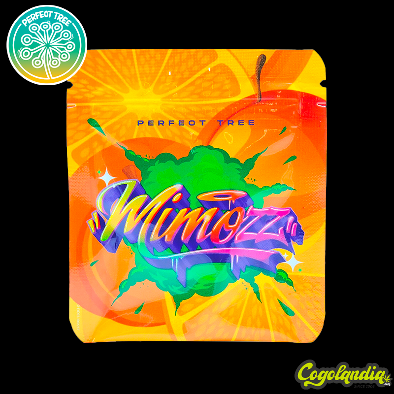 Mimozz - Perfect Tree Seeds