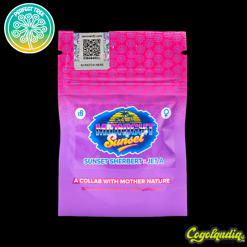 Midnight Sunset - Perfect Tree Seeds