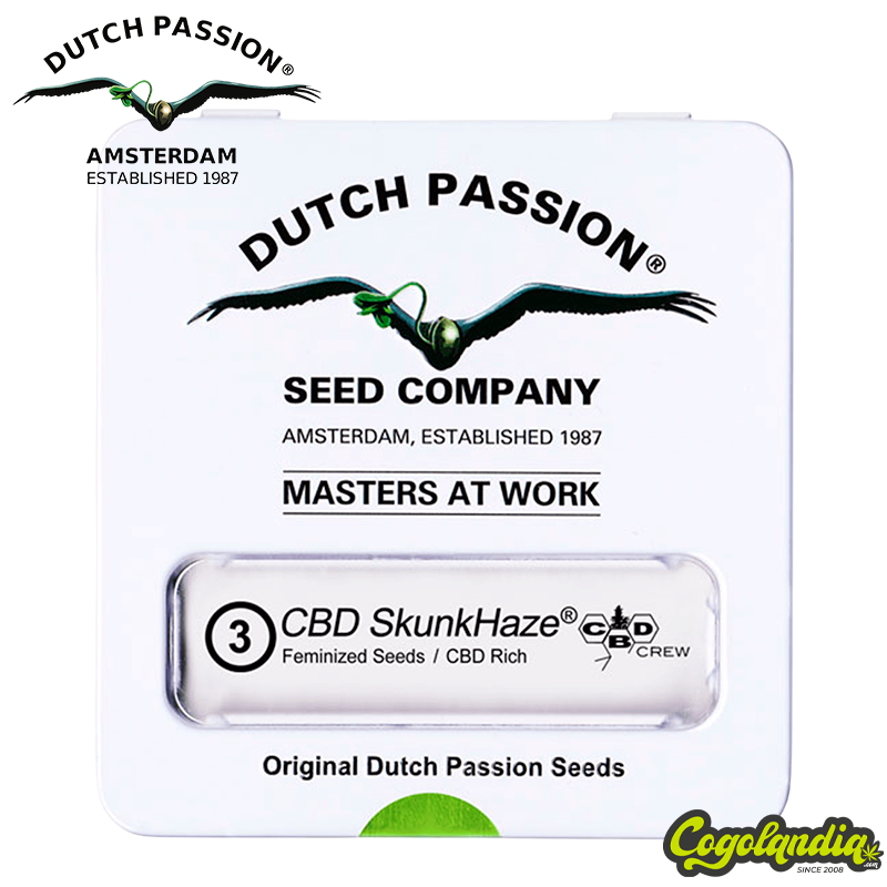 CBD Skunk Haze - Dutch Passion