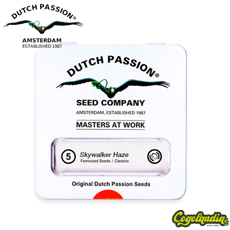 Skywalker Haze - Dutch Passion Semillas Feminizadas