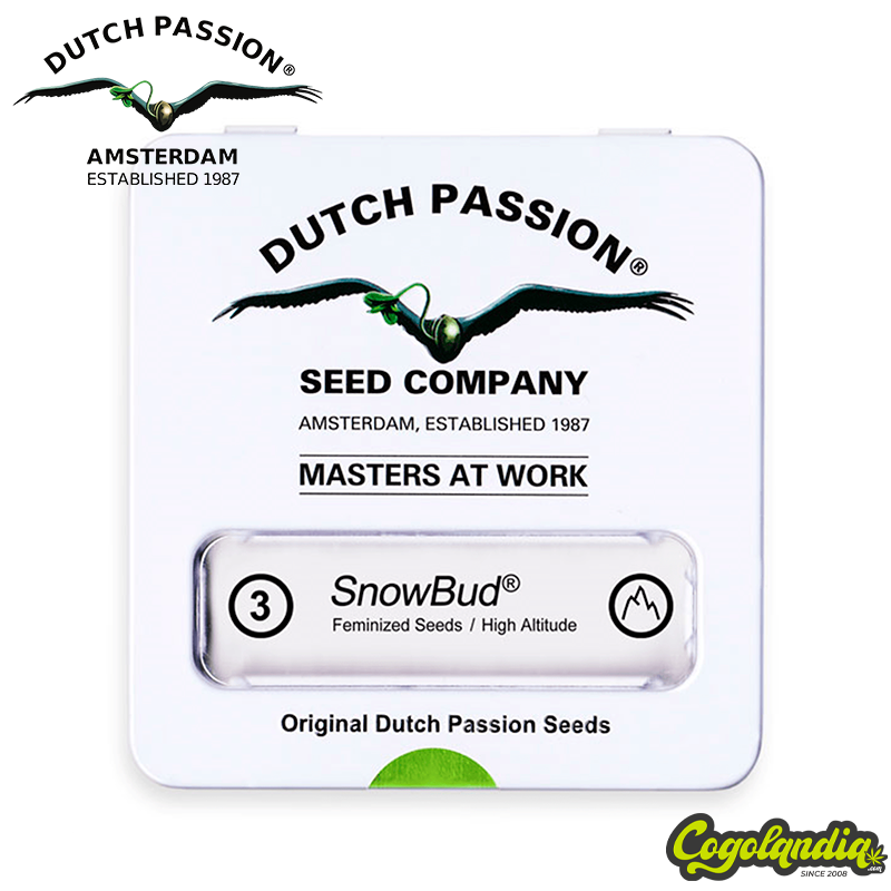 Snow Bud - Dutch Passion Semillas Feminizadas