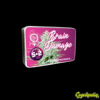 Brain Damage - Grower's Choice 