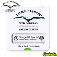 Orange Hill Special - Dutch Passion