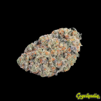 Double Donny Burger - Grower's Choice