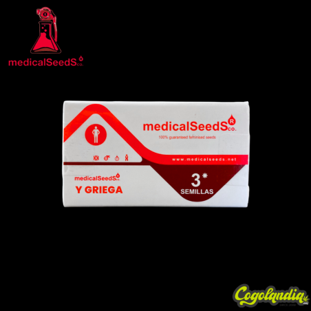 Y Griega - Medical Seeds