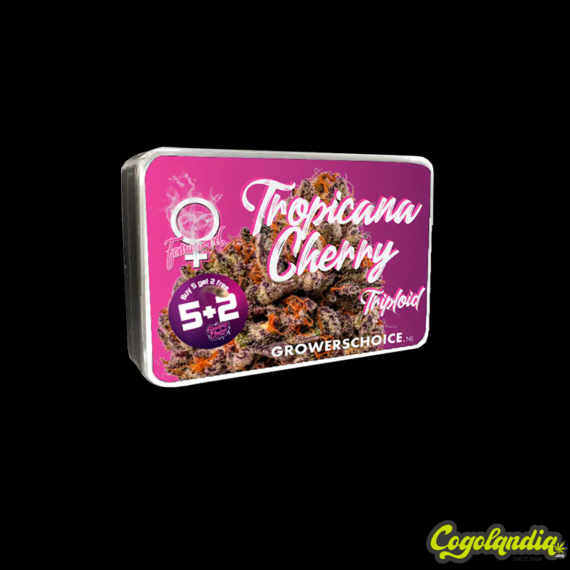 Tropicana Cherry - Grower's Choice