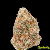 Watermelon Weddingcake - Grower's Choice 