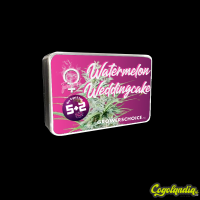 Watermelon Weddingcake - Grower's Choice 
