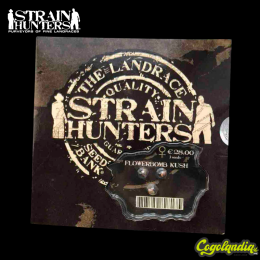 Flowerbomb Kush - Strain Hunters Semillas Feminizadas