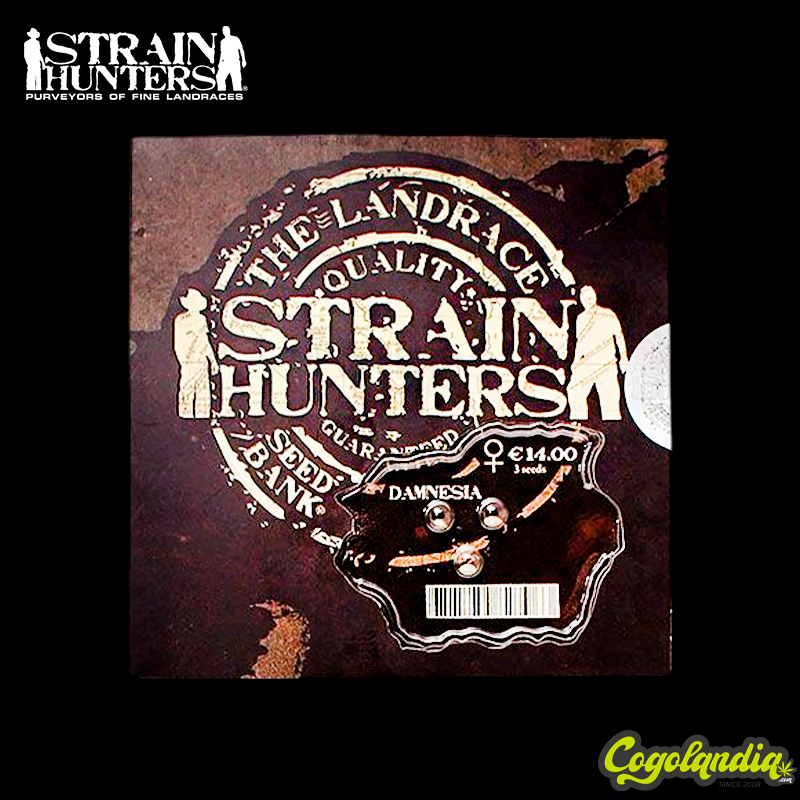 Damnesia - Strain Hunters