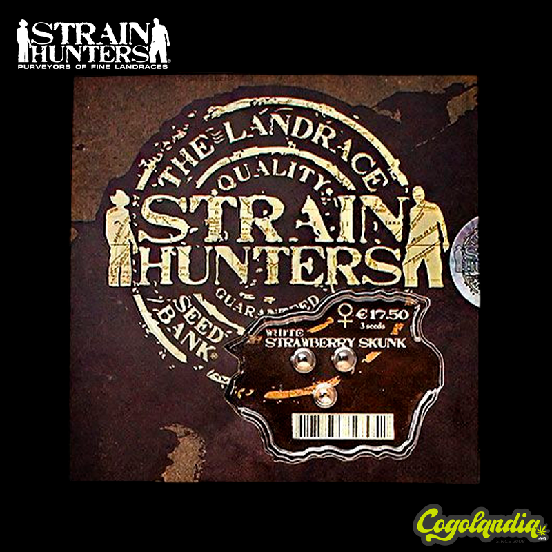 White Strawberry Skunk - Strain Hunters
