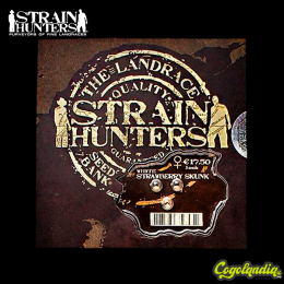 White Strawberry Skunk - Strain Hunters Semillas Feminizadas