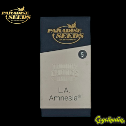 L.A. Amnesia - Paradise Seeds