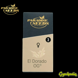 El Dorado OG - Paradise Seeds Positronics Feminizadas, Semillas