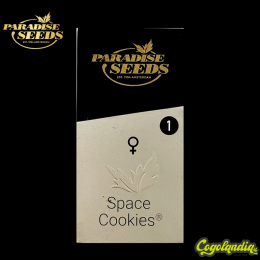 Space Cookies - Paradise Seeds Semillas Feminizadas