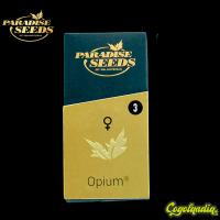 Opium - Paradise Seeds Semillas Feminizadas
