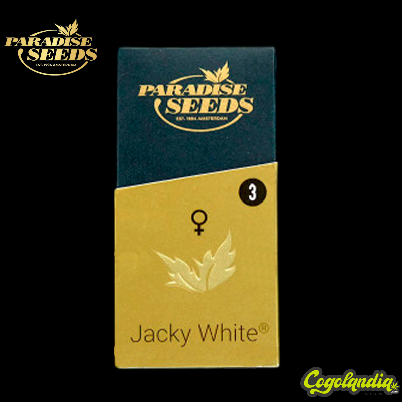 Jacky White - Paradise Seeds