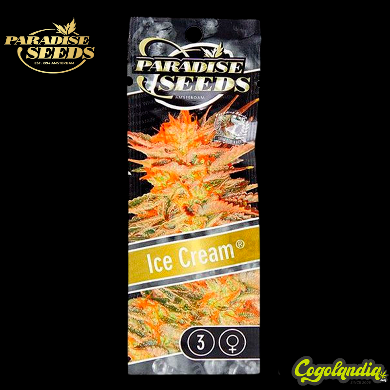 Ice Cream - Paradise Seeds