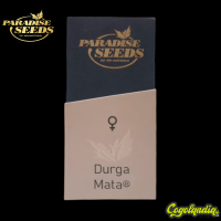 Durga Mata - Paradise Seeds
