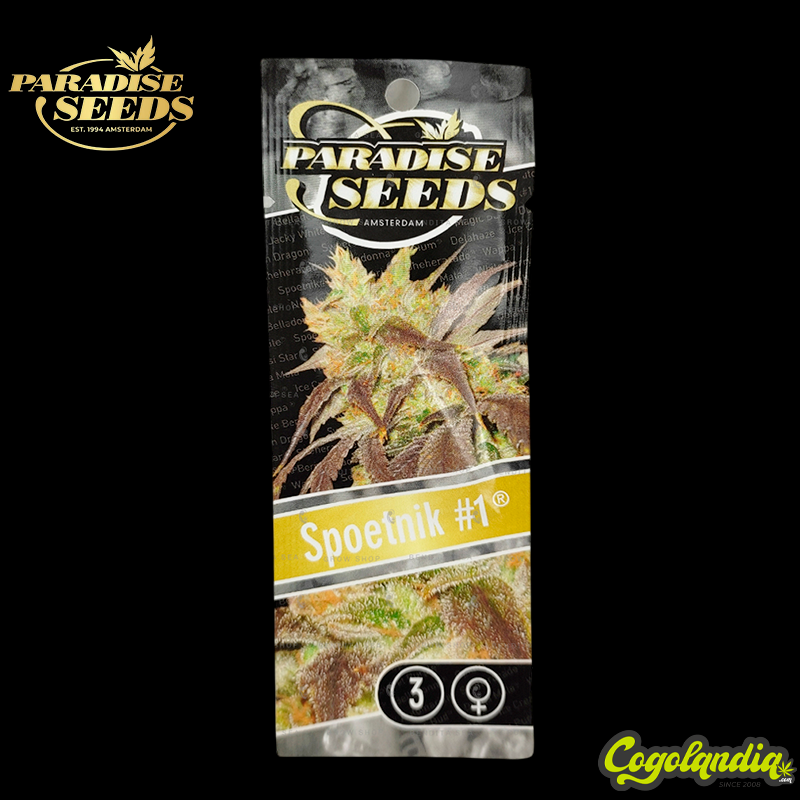 Spoetnik n1 - Paradise Seeds