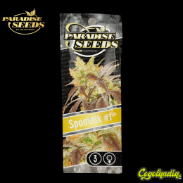 Spoetnik n1 - Paradise Seeds