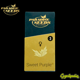 Sweet Purple - Paradise Seeds
