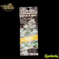 Original White Widow - Paradise Seeds
