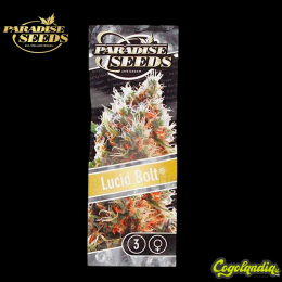Lucid Bolt - Paradise Seeds