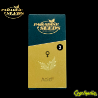 Acid - Paradise Seeds
