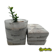 Coco Block 15x15x4 cm 6L - Hydrafiber