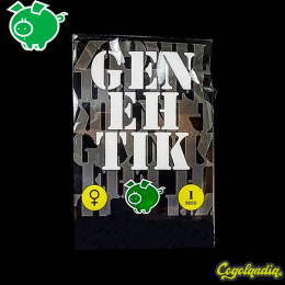 Txees Bilbo - Genehtik Seeds Semillas Feminizadas