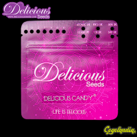 Delicious Candy - Delicious Seeds Semillas Feminizadas