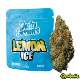Flores Lemon Ice SUPERIOR 40% - Only Grams