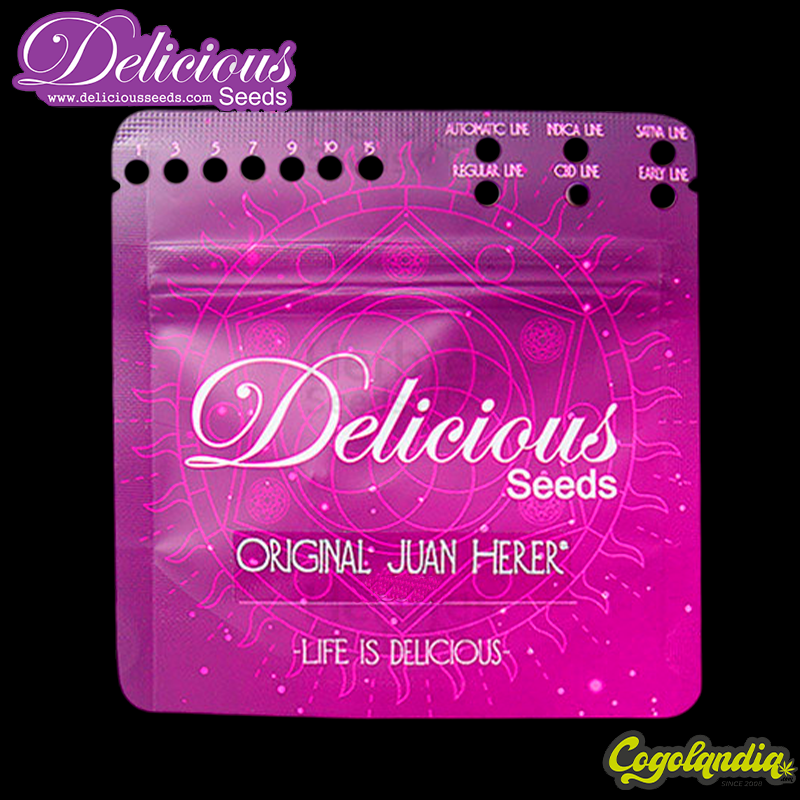 Original Jua Herer - Delicious Seeds