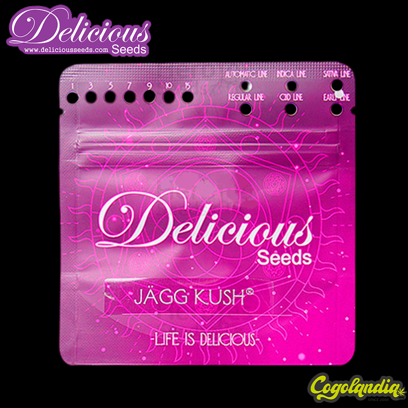 Jägg Kush - Delicious Seeds