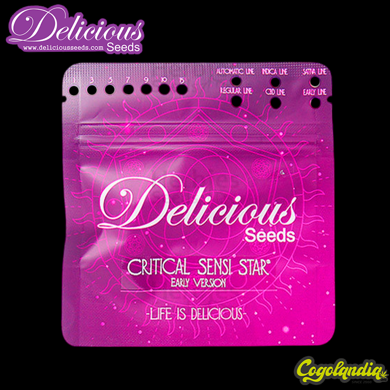 Critical Sensi Star - Delicious Seeds Semillas Feminizadas