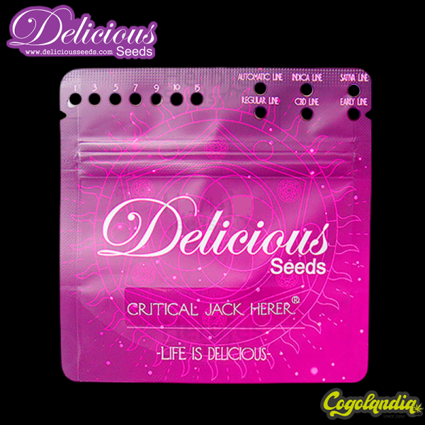 Critical Jack Herer - Delicious Seeds