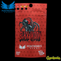 Black Widow - Positronics