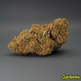 Flores Durban Poison x Nano 9 CBD al 67% - Cannabis Innovation